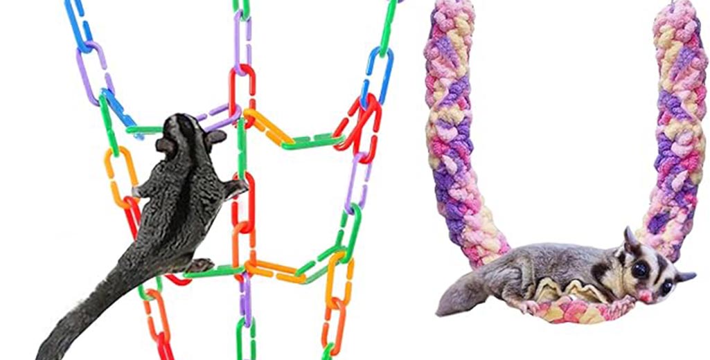 DIY Sugar Glider Toys You Can Make at Home