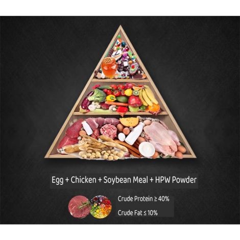 HPW Sugar Glider Food 500g - High-Protein Instant Mix for Small Pets